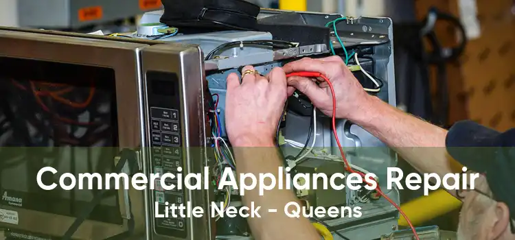 Commercial Appliances Repair Little Neck - Queens