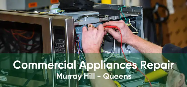 Commercial Appliances Repair Murray Hill - Queens