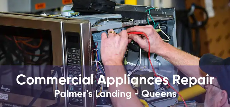 Commercial Appliances Repair Palmer's Landing - Queens