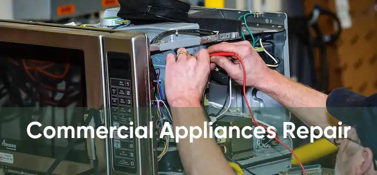 Commercial Appliances Repair 