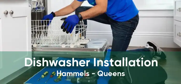 Dishwasher Installation Hammels - Queens