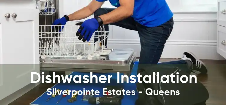 Dishwasher Installation Silverpointe Estates - Queens