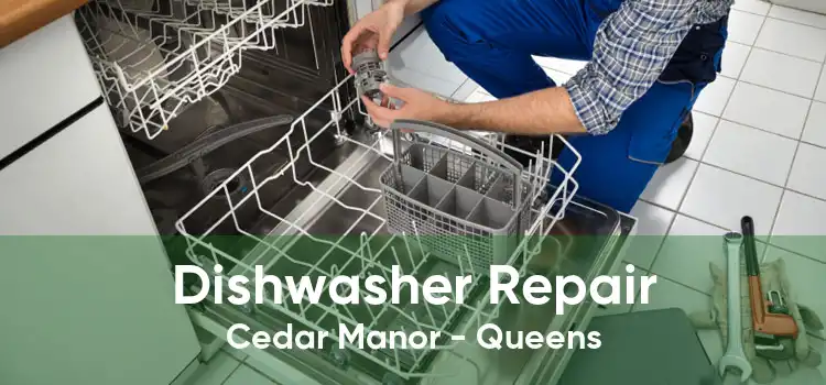 Dishwasher Repair Cedar Manor - Queens