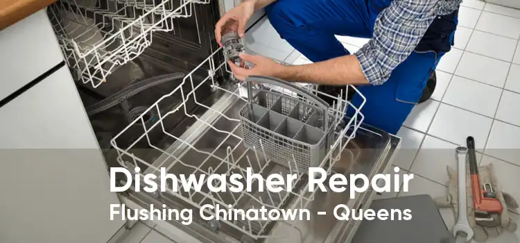 Dishwasher Repair Flushing Chinatown - Queens