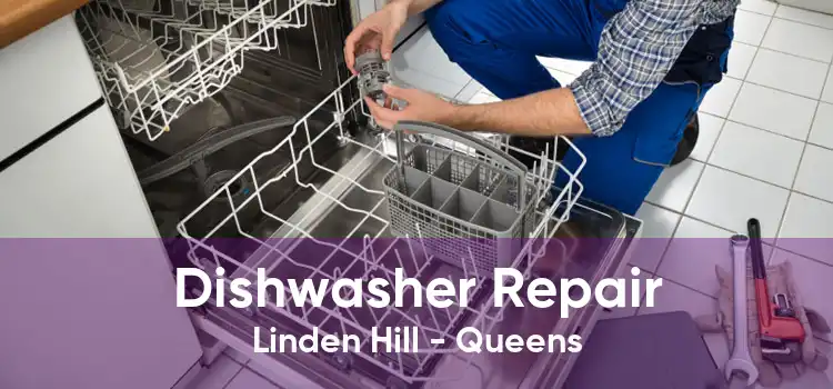 Dishwasher Repair Linden Hill - Queens