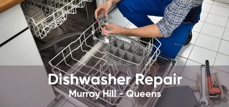 Dishwasher Repair Murray Hill - Queens