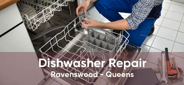 Dishwasher Repair Ravenswood - Queens