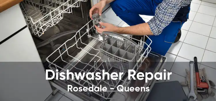 Dishwasher Repair Rosedale - Queens