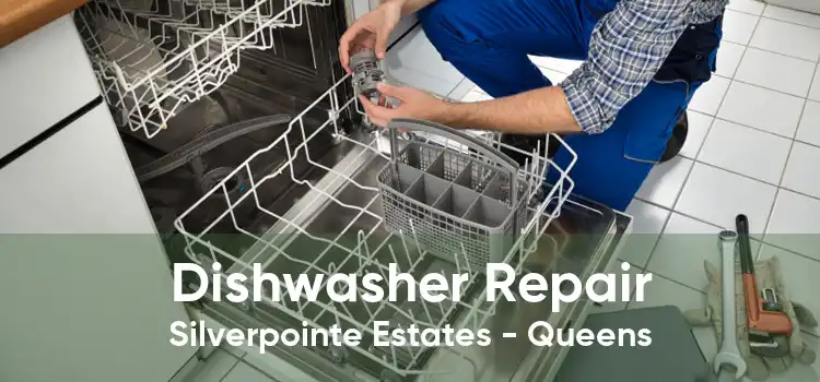 Dishwasher Repair Silverpointe Estates - Queens