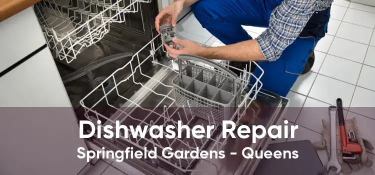 Dishwasher Repair Springfield Gardens - Queens