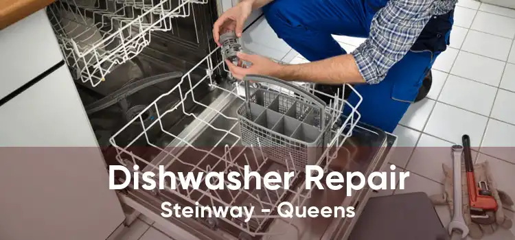 Dishwasher Repair Steinway - Queens