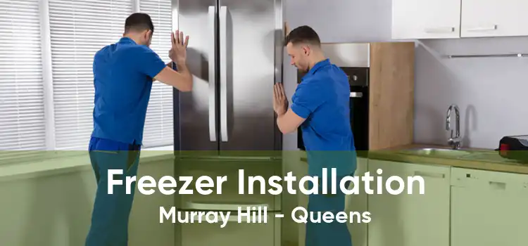 Freezer Installation Murray Hill - Queens