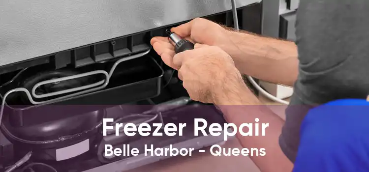 Freezer Repair Belle Harbor - Queens