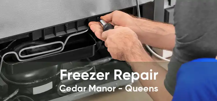 Freezer Repair Cedar Manor - Queens