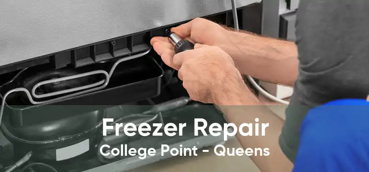 Freezer Repair College Point - Queens