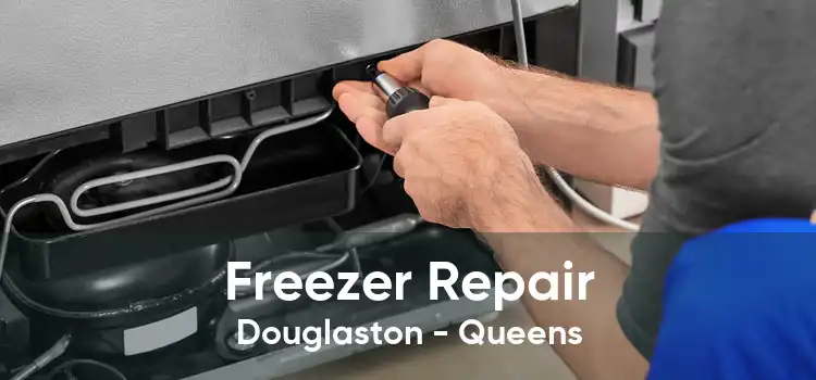 Freezer Repair Douglaston - Queens