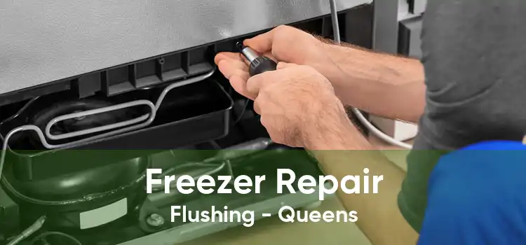 Freezer Repair Flushing - Queens