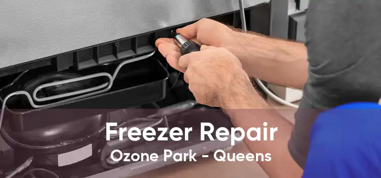 Freezer Repair Ozone Park - Queens