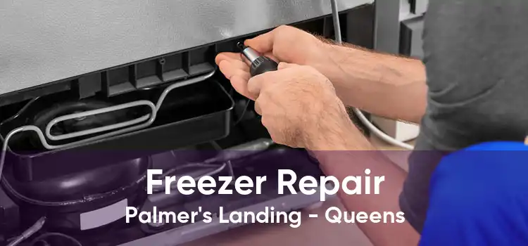 Freezer Repair Palmer's Landing - Queens