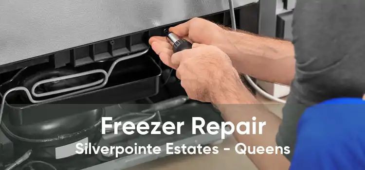 Freezer Repair Silverpointe Estates - Queens