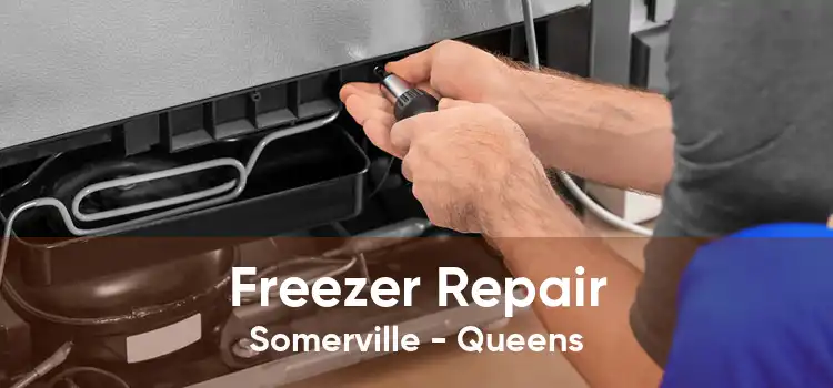 Freezer Repair Somerville - Queens