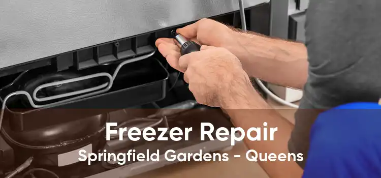 Freezer Repair Springfield Gardens - Queens