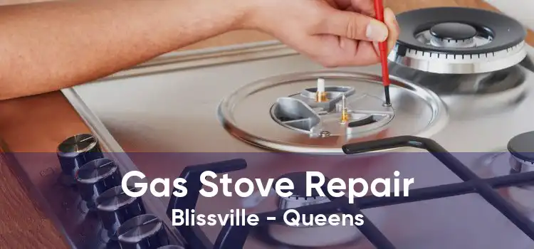 Gas Stove Repair Blissville - Queens