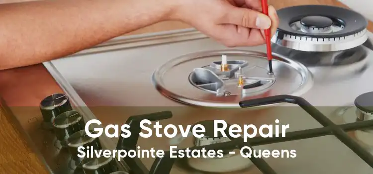 Gas Stove Repair Silverpointe Estates - Queens