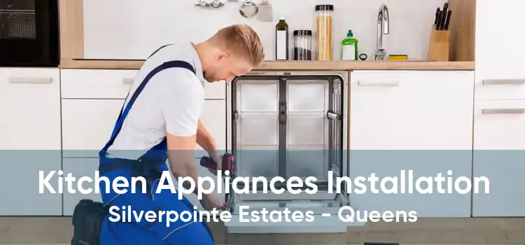 Kitchen Appliances Installation Silverpointe Estates - Queens