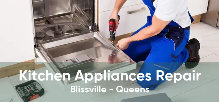 Kitchen Appliances Repair Blissville - Queens