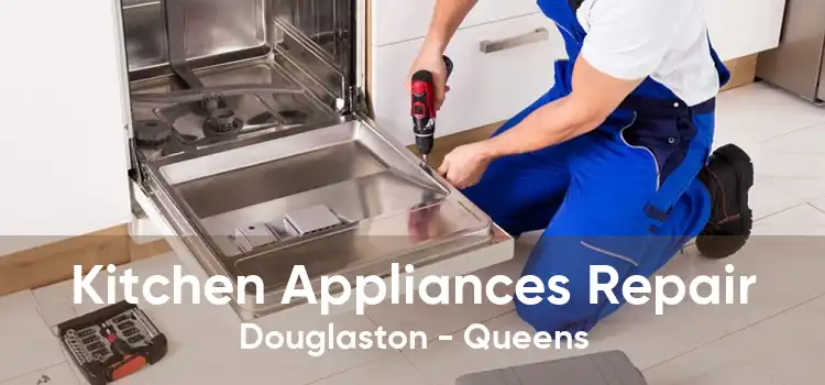 Kitchen Appliances Repair Douglaston - Queens