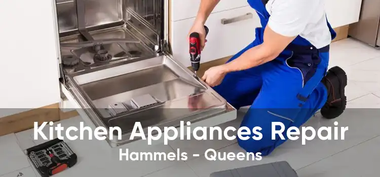 Kitchen Appliances Repair Hammels - Queens