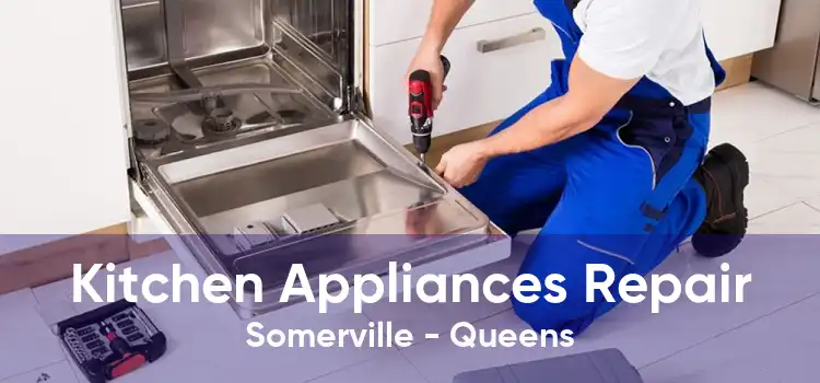 Kitchen Appliances Repair Somerville - Queens