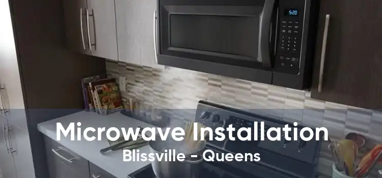 Microwave Installation Blissville - Queens