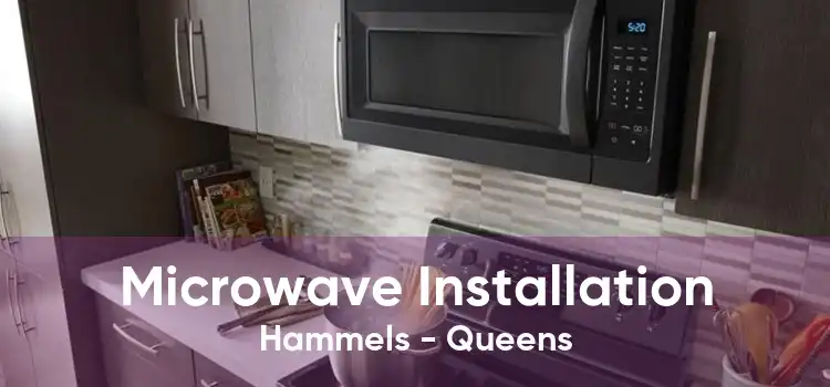 Microwave Installation Hammels - Queens