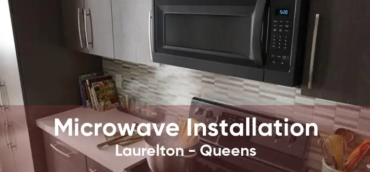 Microwave Installation Laurelton - Queens