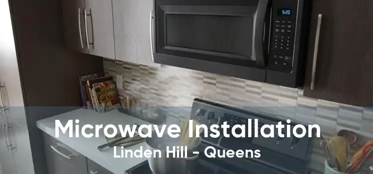 Microwave Installation Linden Hill - Queens