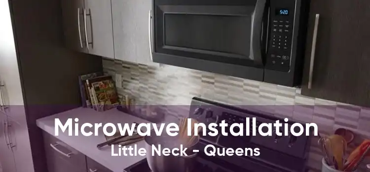 Microwave Installation Little Neck - Queens