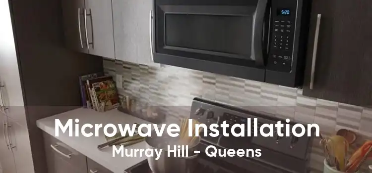 Microwave Installation Murray Hill - Queens