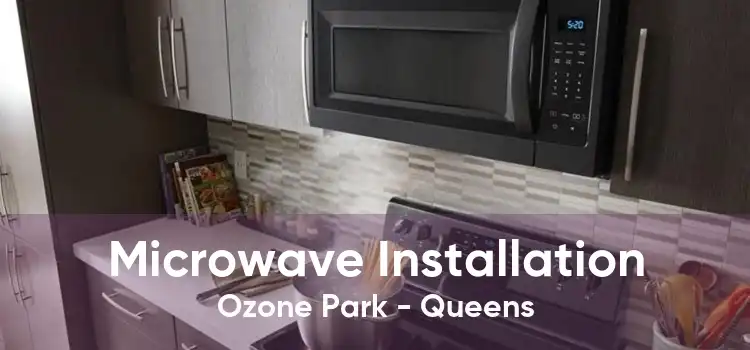 Microwave Installation Ozone Park - Queens