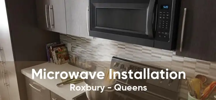 Microwave Installation Roxbury - Queens