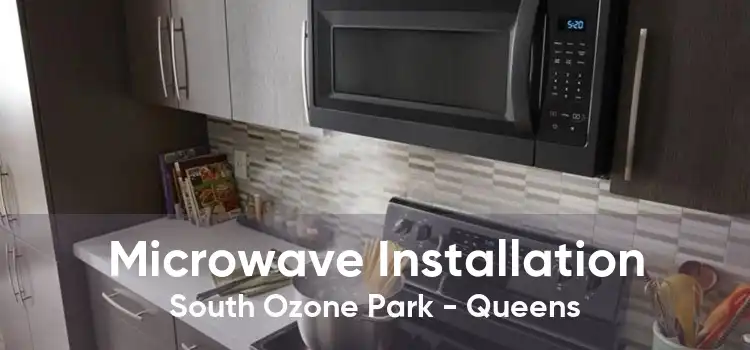 Microwave Installation South Ozone Park - Queens