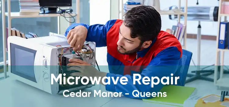 Microwave Repair Cedar Manor - Queens