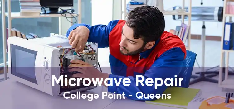 Microwave Repair College Point - Queens