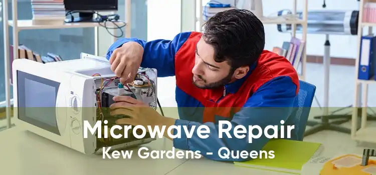 Microwave Repair Kew Gardens - Queens