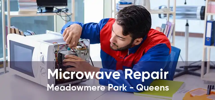 Microwave Repair Meadowmere Park - Queens