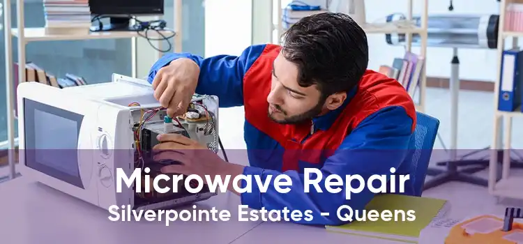 Microwave Repair Silverpointe Estates - Queens