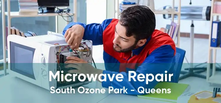 Microwave Repair South Ozone Park - Queens