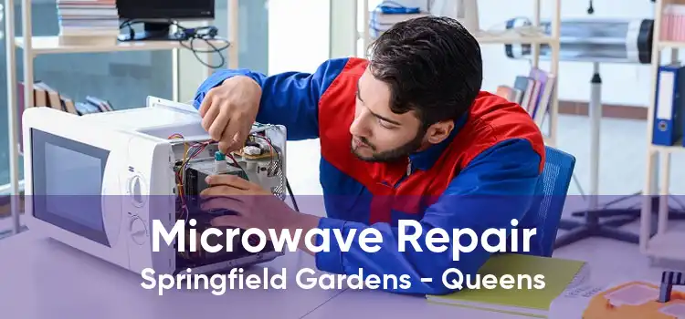 Microwave Repair Springfield Gardens - Queens