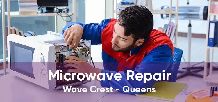 Microwave Repair Wave Crest - Queens